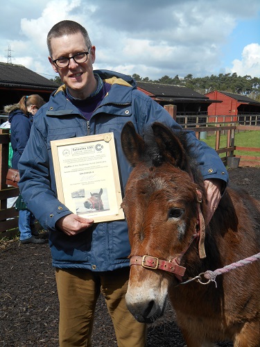 Redwings adoption mule Muffin receives his honorary membership certificate from Robin Braysher, SCS Web Editor, on his birthday in April 2016.
