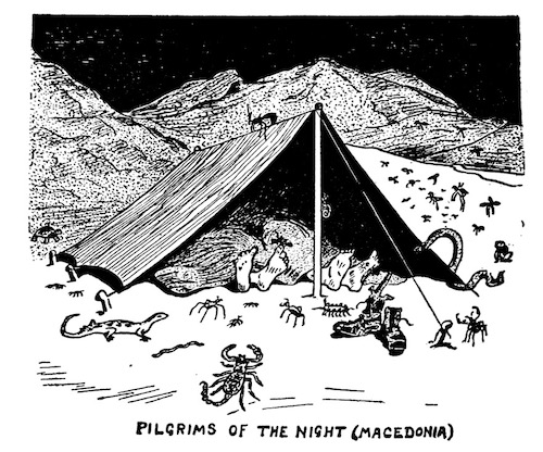A cartoon from 'The Mosquito' showing various creepy-crawlies encountered by members of the BSF