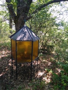'Chapel' in the graveyard at Oteševo, Northern Macedonia, which is possibly the last resting place of František Štěrba.