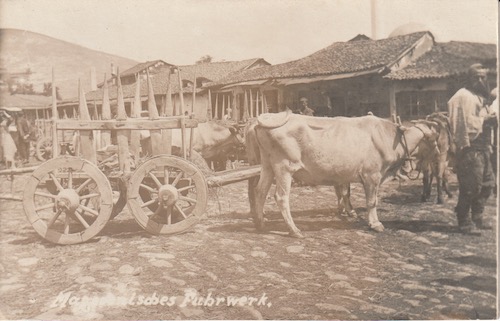 German postcard of a Macedonian ox cart