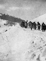 The Second Serbian Campaign of 1915: A Talk by Nick&nbsp;Ilić