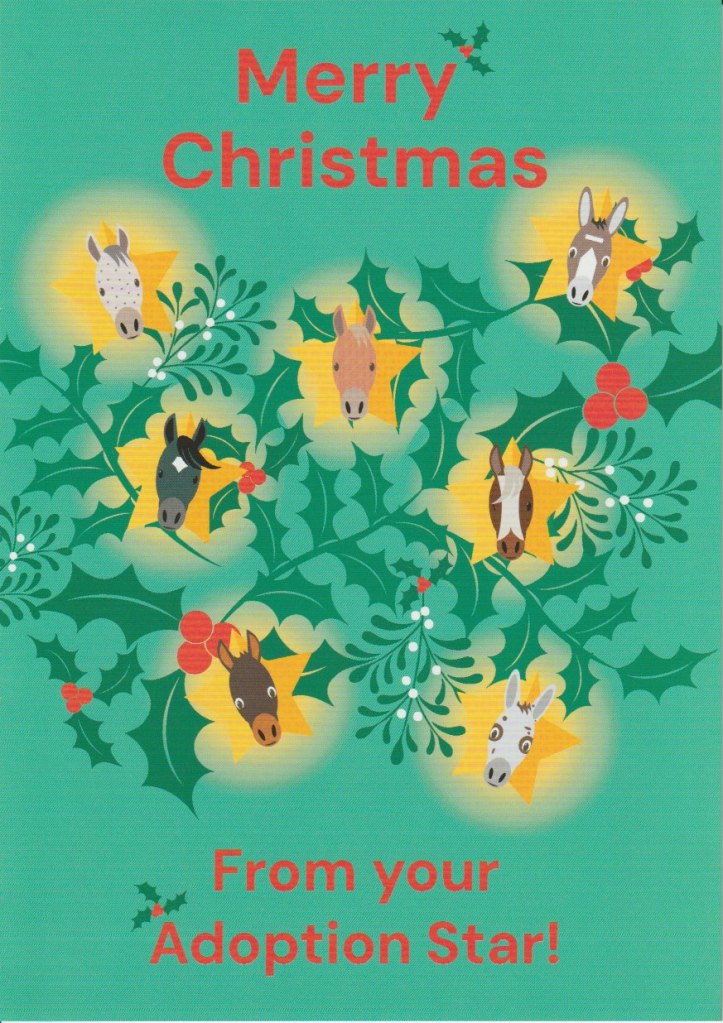 Merry Christmas from your Adoption Star - a Christmas card from Noah, the adopted mule of the SCS, who resides at the Redwings Horse Sanctuary Centre at Caldecott in Norfolk.