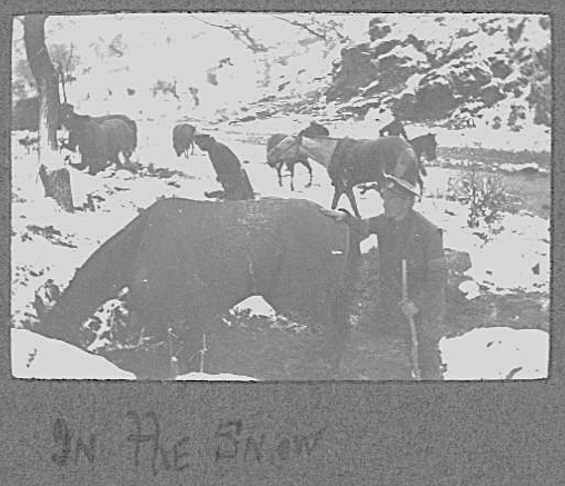 "In the Snow" - a photo showing horses and mules with men from 28th Divisional Signals (RE).
